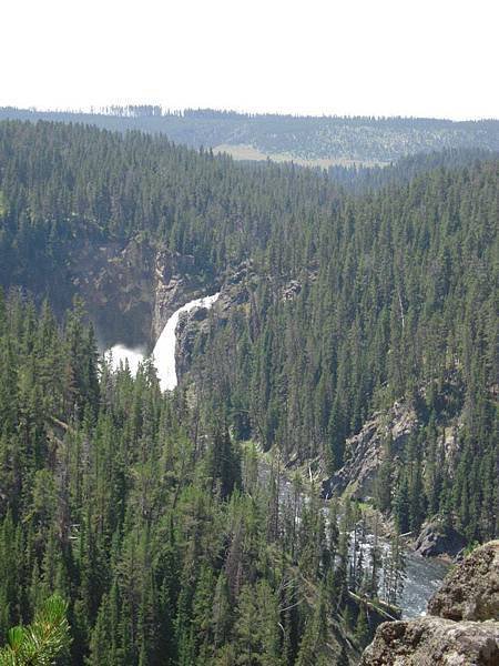 接著我們前往Brink of Lower Falls (下瀑布邊緣)