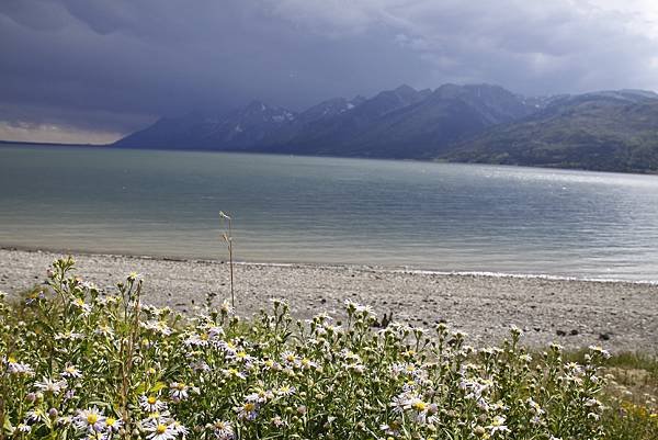 Jackson Lake (傑克森湖) 