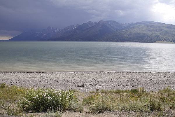 美麗的Jackson Lake (傑克森湖) 