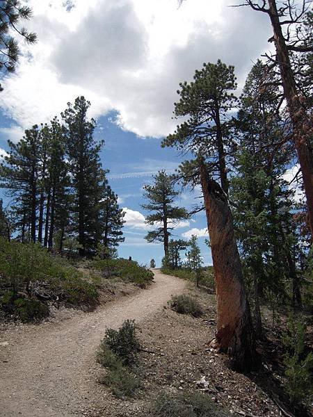 Rim Trail , 走在步道上...