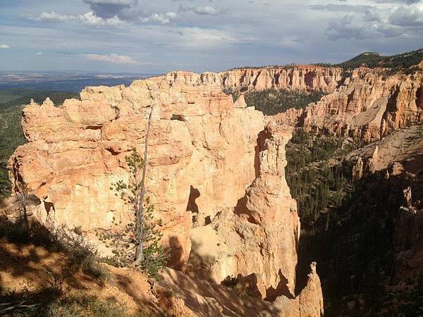 Ponderosa Canyon