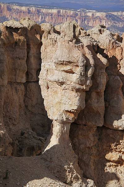 Ponderosa Canyon, 如此巨俑,除了老天爺誰有辦法? (嘆~)