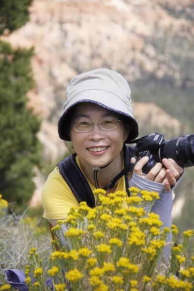 山徑上到處可見這種黃色小花,她的芳名叫&quot;Rubber Rabbitbrush&quot;