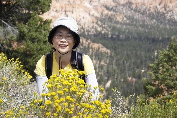 山徑上到處可見這種黃色小花,她的芳名叫&quot;Rubber Rabbitbrush&quot;