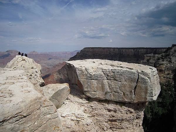 Mather Point 的前方岩石上,停了3隻黑色的鳥...