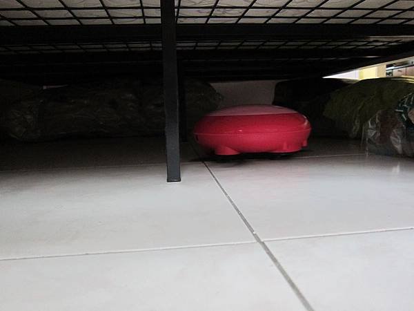 IMG_8198.JPG