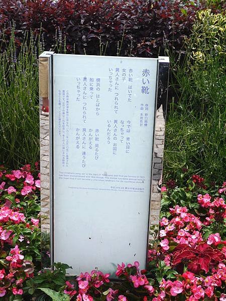 P1090531.jpg