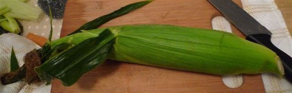 Corn@farmer&apos;s MKT.JPG