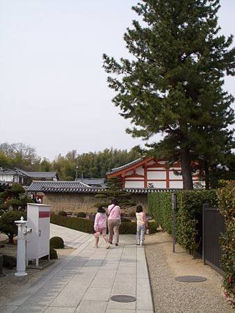 DSCN6097.JPG