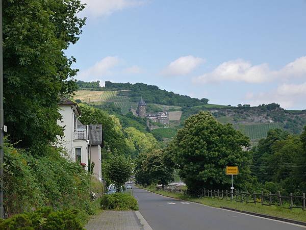 P1000435.JPG
