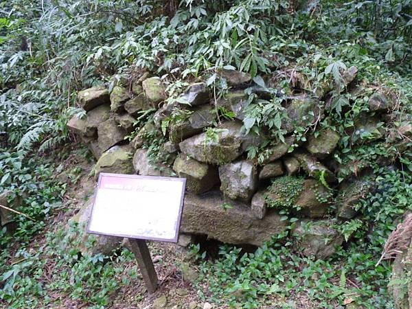 P1420273.JPG