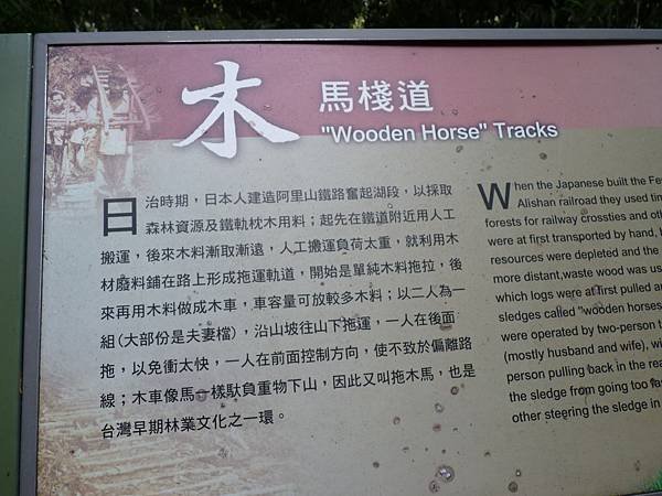 P1420304.JPG