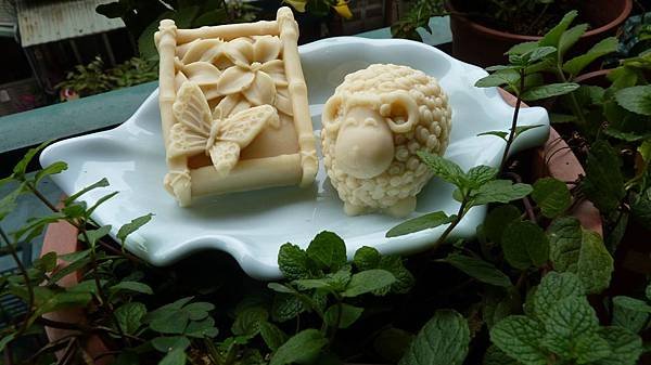 P1500837-1.jpg