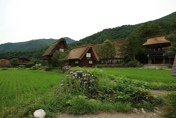 20160708_0090.JPG