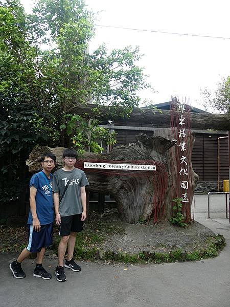 P1040306.JPG