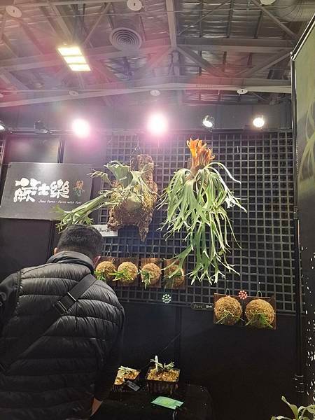 2025.1.19 水美園+1.18 貓空紅木屋