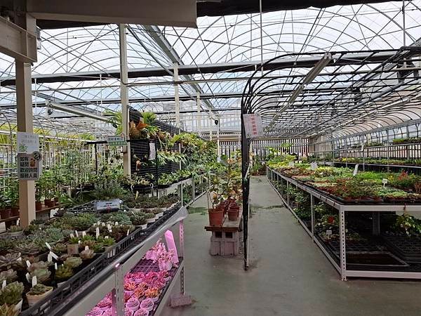 2025.3.31 旋轉花市買花