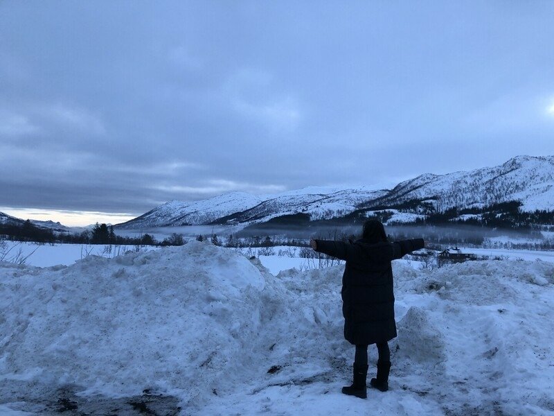 Lofotenislands 羅弗敦群島 挪威 Narvik 那維克