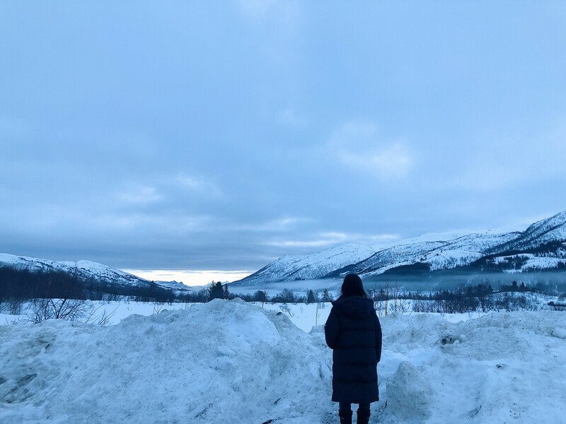 Lofotenislands 羅弗敦群島 挪威 Narvik 那維克