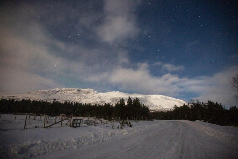 海鮮 特羅姆瑟 Tromso 極光 Olhallen