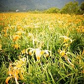 DSC00199.jpg