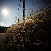 DSC00486.JPG