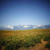 DSC00509.JPG