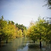 DSC00540.jpg