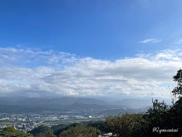 《咖啡》新北市大湖頂山【TREE TOP KAFFA樹頂上】