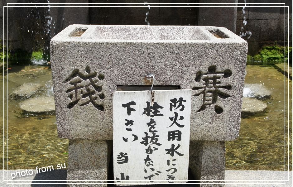 DSC04052.jpg