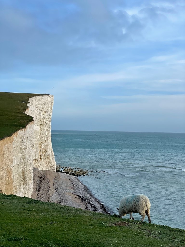 【英國】七姐妹斷崖（Seven Sisters Cliffs