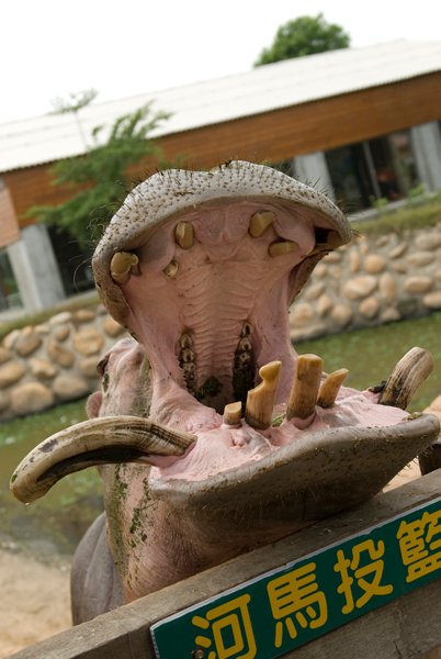 DSC_4743.jpg