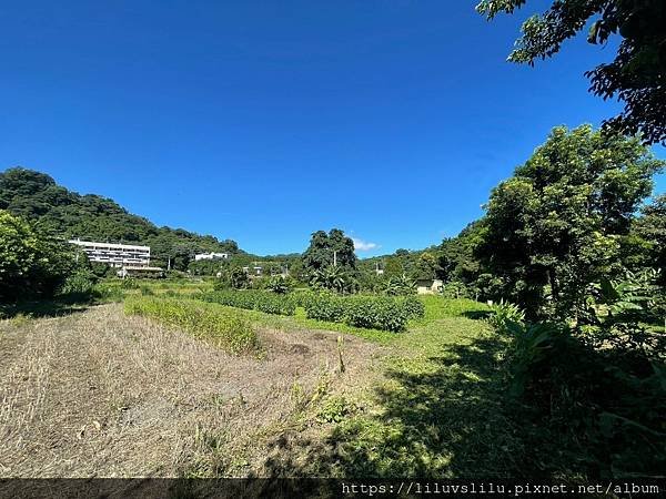 新竹縣竹東鎮~軟橋段~軟橋707坪農地★漂亮平坦★有水有電