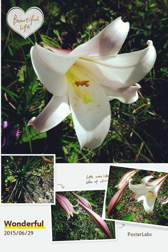 HBGC_20150629114904.jpg