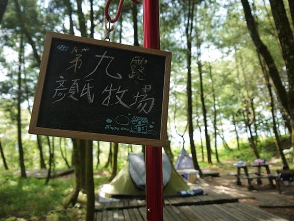 P1230528.JPG