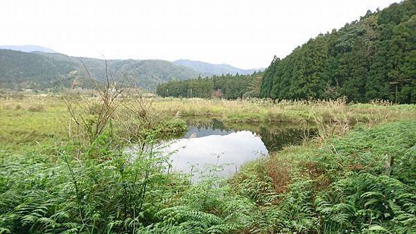 雙連埤11.jpg