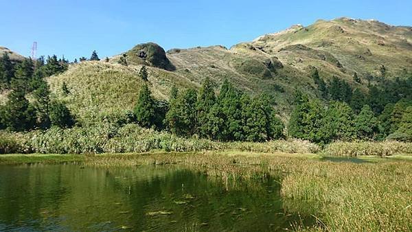 陽明山系。七星山主峰22.jpg
