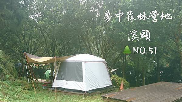 南投鹿谷。溪頭夢中森林07.jpg