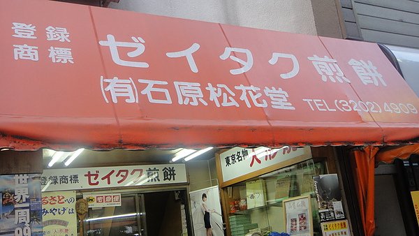 DSC01100.JPG