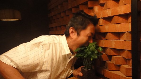 DSC06447.JPG