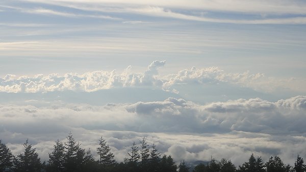 DSC03944.JPG