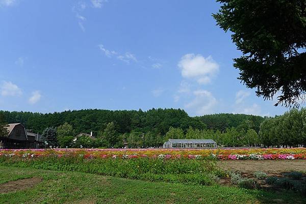 20130816富田農場