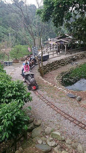 櫻花鳥小火車