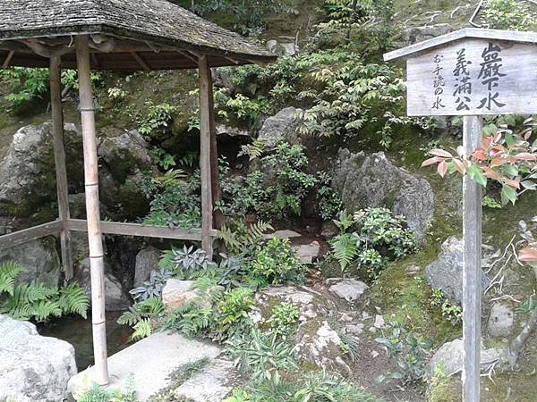 20140522_145142.jpg