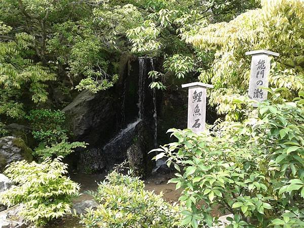 20140522_145224.jpg