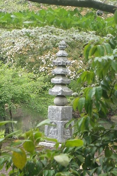 IMGP3483.JPG