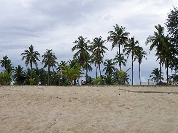 IMGP1081