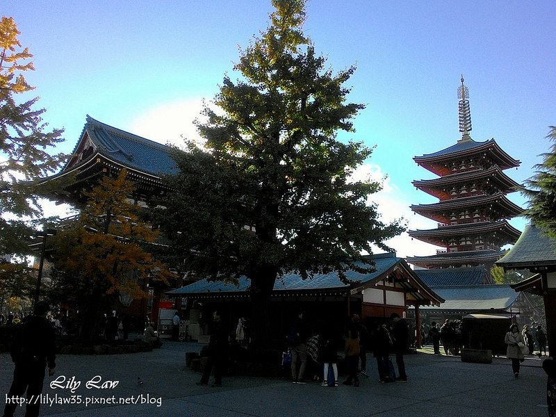 P_20151127_143053