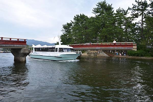 IMG_0485.jpg