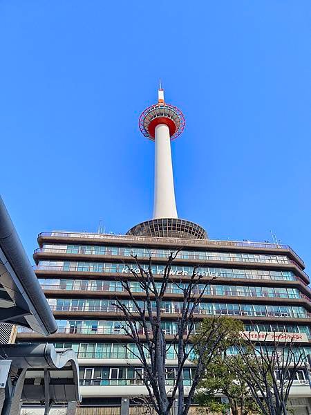 IMG_20230130_101000.jpg